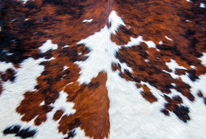 Roycycled Decoupage Paper - Cowhide - Vintage Revival Design Co