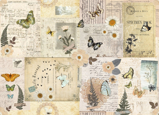 Roycycled Decoupage Paper - Pressed Flowers Masterboard - Vintage Revival Design Co