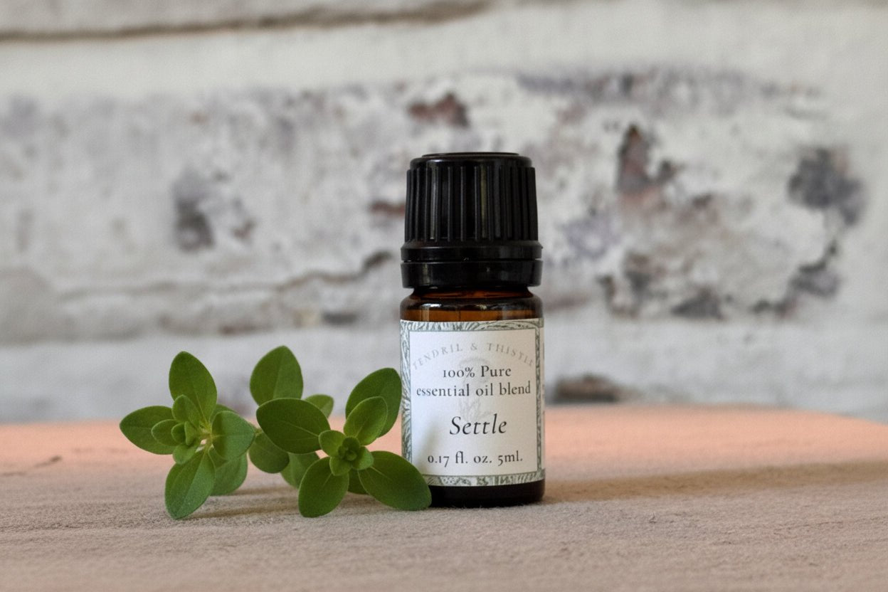 SETTLE | Pure Essential Oil Blend 5 mL - Tendril & Thistle