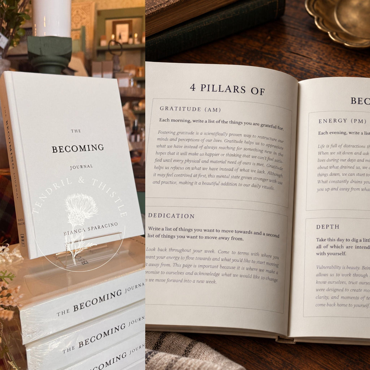The Becoming Journal by Bianca Sparacino | Tendril & Thistle - Tendril & Thistle
