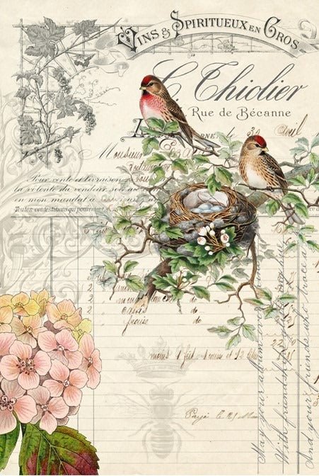Roycycled Decoupage Paper - Bird Ephemera - Vintage Revival Design Co
