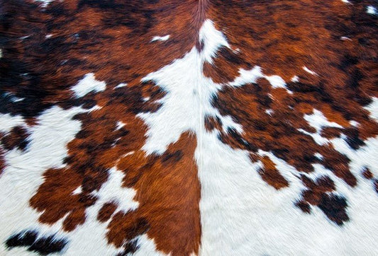 Roycycled Decoupage Paper - Cowhide - Vintage Revival Design Co